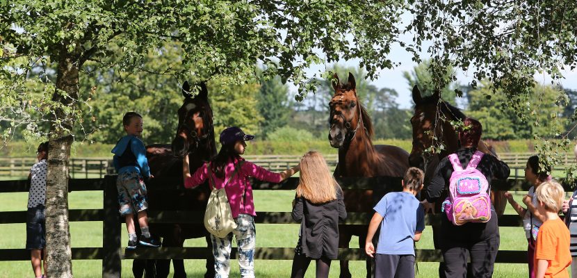 Irish National Stud & Gardens 9