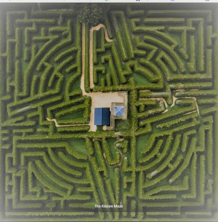 The Kildare Maze 7